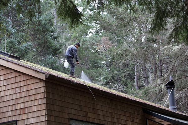 Roof Cleaning Services Roof Cleaning Services